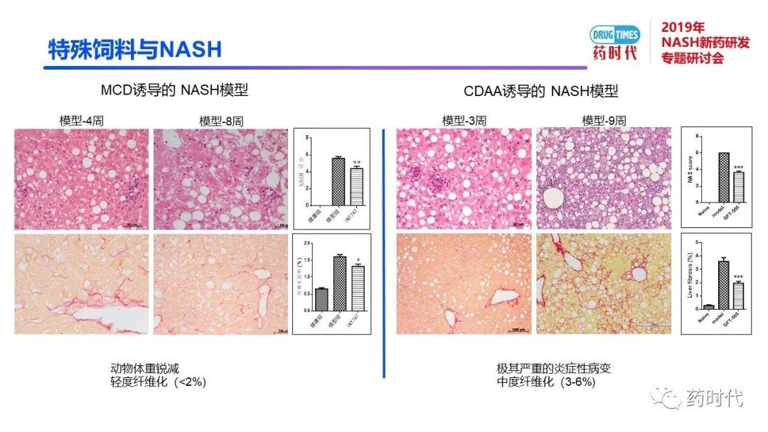 庄永傑博士 | NASH新药研发相关试验动物模型的分析