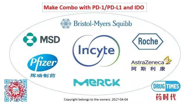 如何开发PD-1与IDO组合疗法：案例分享