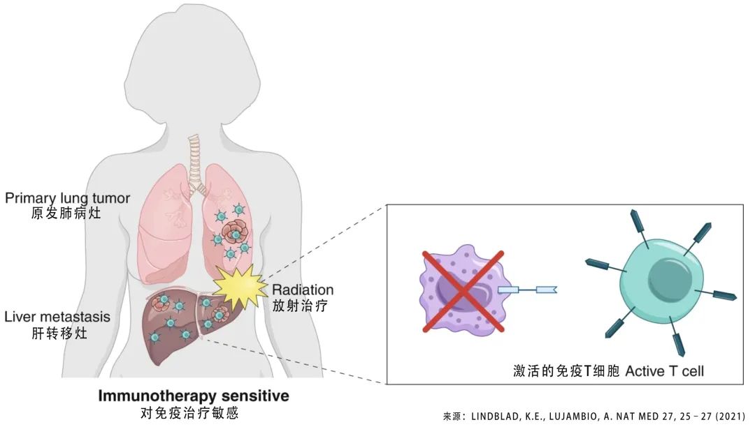 注意丨肿瘤肝转移之后，PD-1免疫治疗药物疗效下降