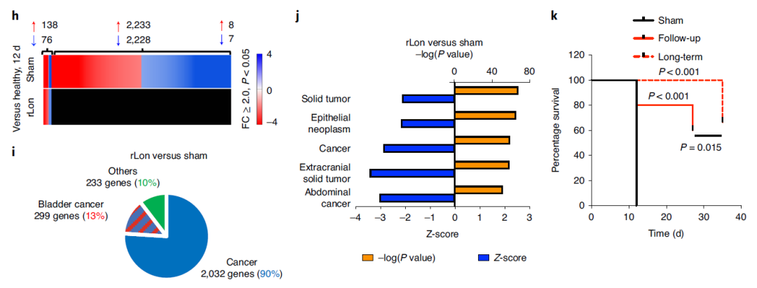 癌症治疗新策略：来自大肠杆菌的蛋白酶，能够降解癌蛋白MYC，提高癌症存活率
