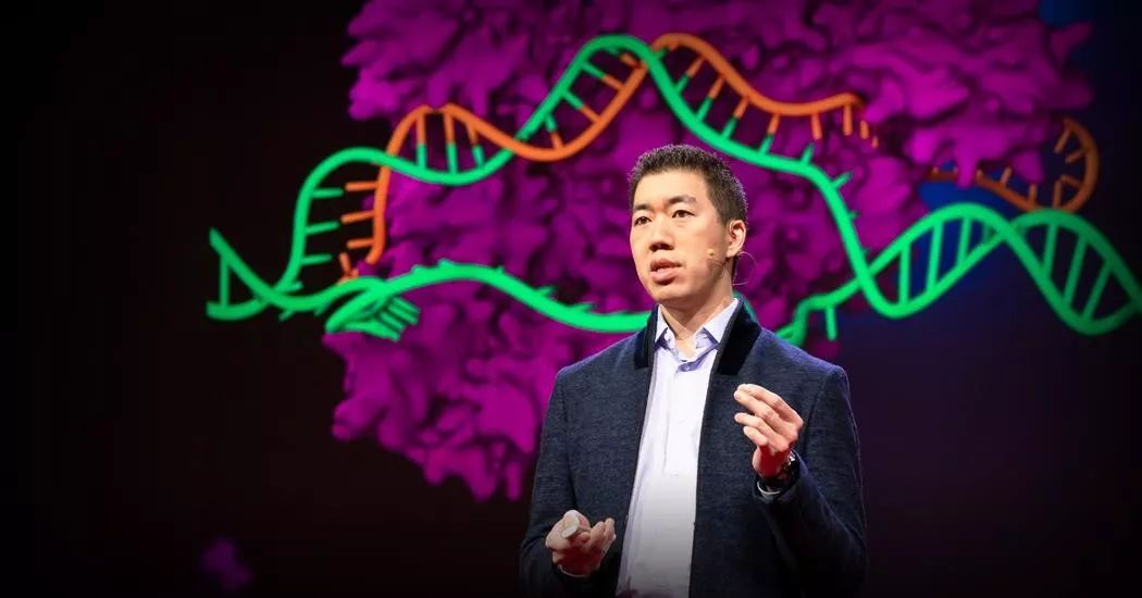 Nature：总结过去的一年里，CRISPR在临床中的突破性进展