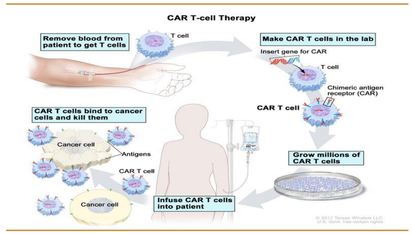 全球创新疗法系列（二）：CAR-T等细胞免疫疗法技术进展