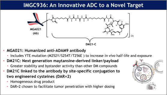 首款靶向ADAM9的ADC—IMGC936