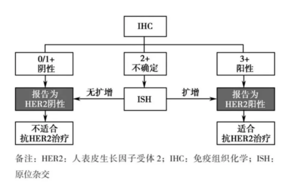 我们的历史不是我们的命运！！当拥有5000年历史的「乳腺癌」，碰到了109岁的「魔法子弹」