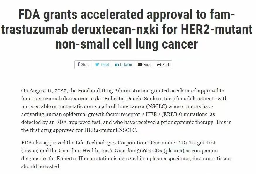 又一个首款！FDA加快批准Enhertu（DS-8201）治疗HER2突变非小细胞肺癌患者