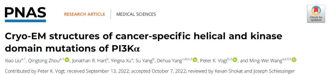 重磅消息 | 王明伟/Vogt/杨德华领衔合作团队解析三个致癌特异性PI3Kα突变体的三维结构