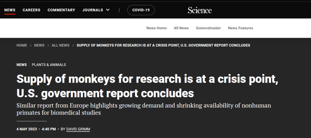 Science发文，直指全球实验猴短缺。但为什么，国内的猴价还跌了？