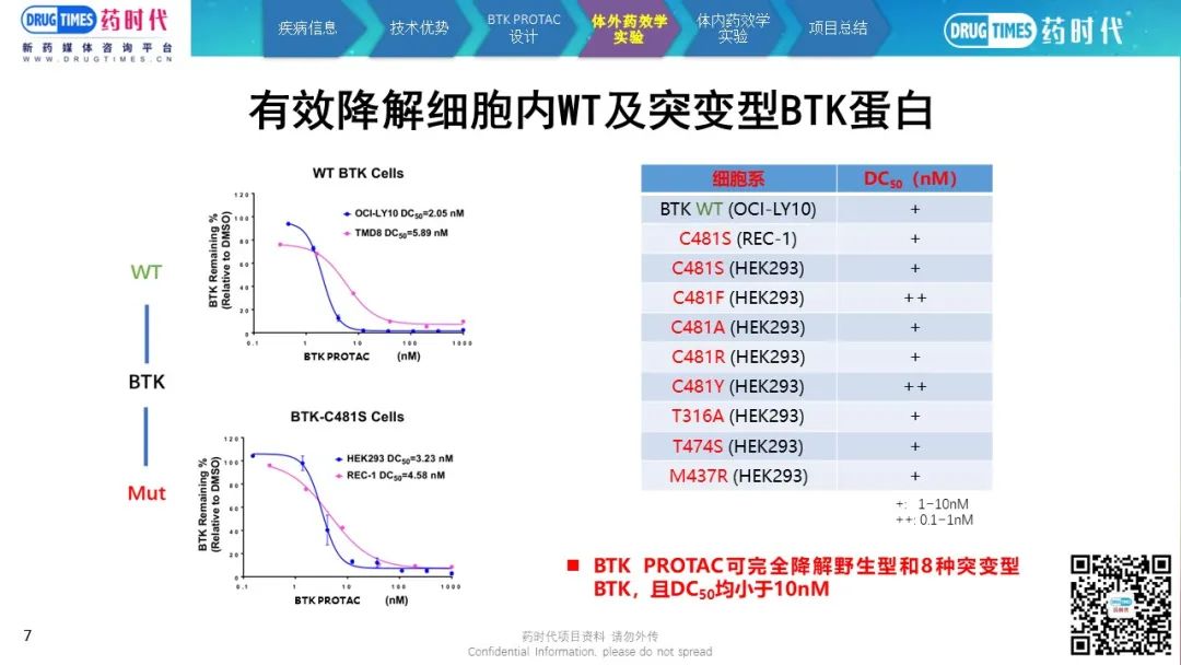 药时代BD-086项目 | 口服BTK PROTAC降解剂寻求中国合作伙伴