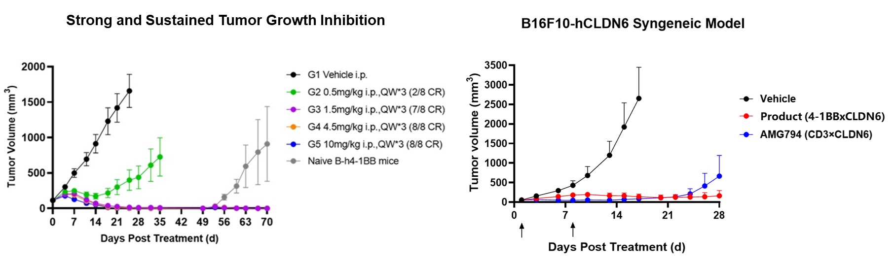 【Product for Licensing】CLDN6 X 4-1BB bispecific antibody